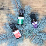 Topical pain relief with copaiba oil and black spruce, lavender laying on top of spruce tree branches.